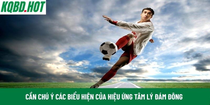 Cần chú ý các biểu hiện của hiệu ứng tâm lý đám đông