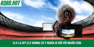 CLV là gì