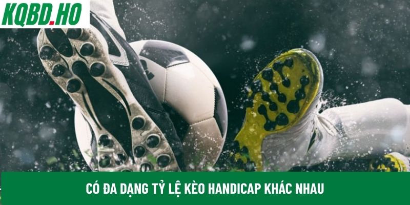 Có đa dạng tỷ lệ kèo Handicap khác nhau