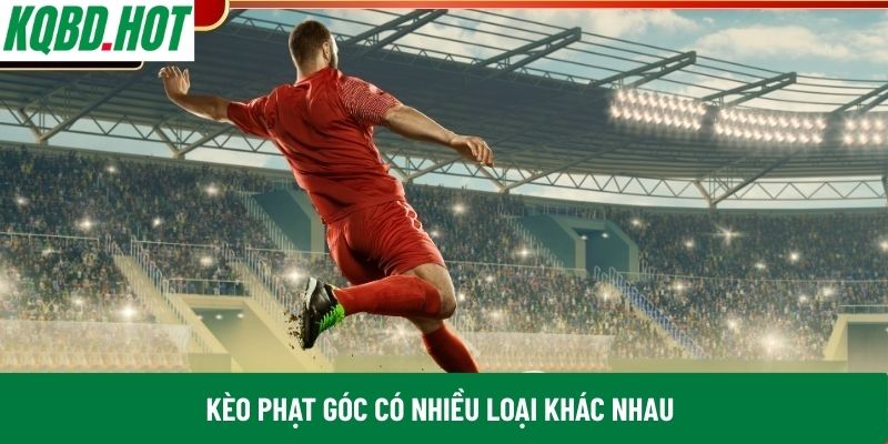 Kèo phạt góc có nhiều loại khác nhau