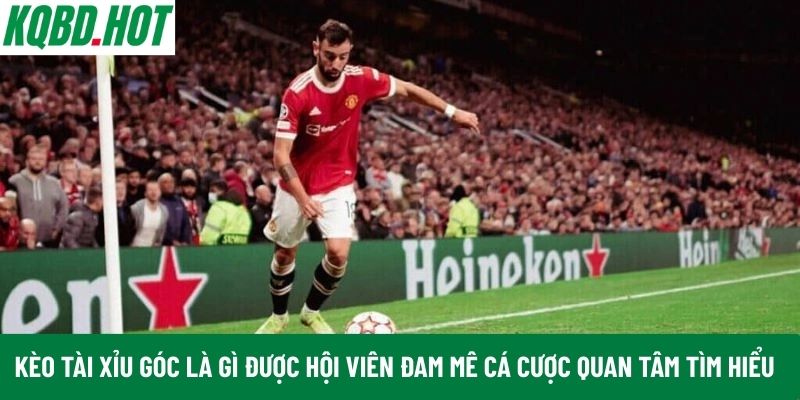 Kèo Tài Xỉu góc là gì được hội viên đam mê cá cược quan tâm tìm hiểu