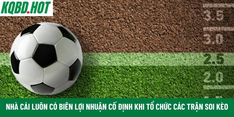 Nhà cái luôn có biên lợi nhuận cố định 