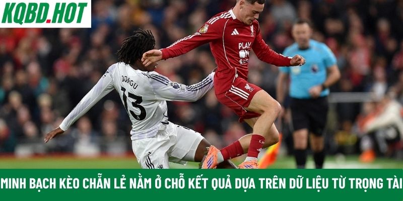 Tính minh bạch kèo chẵn lẻ 