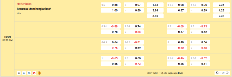 Trên đây là tỷ lệ kèo trận đấu Hoffenheim vs Monchengladbach